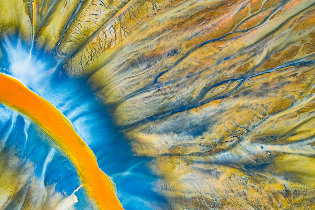  Ð¢Ð¾ÐºÑÐ¸ÑÐµÑÐºÐ¸Ð¹ Ð´Ð¸Ð·Ð°Ð¹Ð½, ÐÐµÐ¾ÑÐ³Ðµ ÐÐ¾Ð¿Ð°, Ð&nbsp;ÑÐ¼ÑÐ½Ð¸Ñ/Wildlife Photographer of the Year/PA