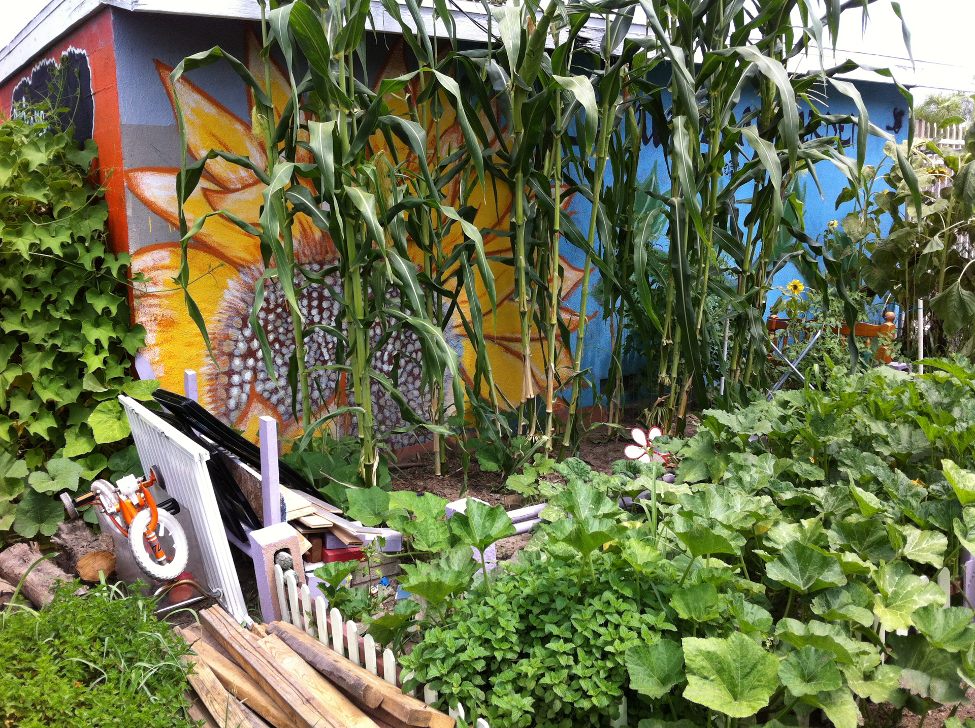 ÐÐ¾ÑÐ¾Ð´ÑÐºÐ¾Ð¹ Ð¾Ð³Ð¾ÑÐ¾Ð´ Ð² ÐÐ¾Ñ-ÐÐ½Ð´Ð¶ÐµÐ»ÐµÑÐµ.Â&nbsp;Ð¤Ð¾ÑÐ¾: lagardencouncil.org