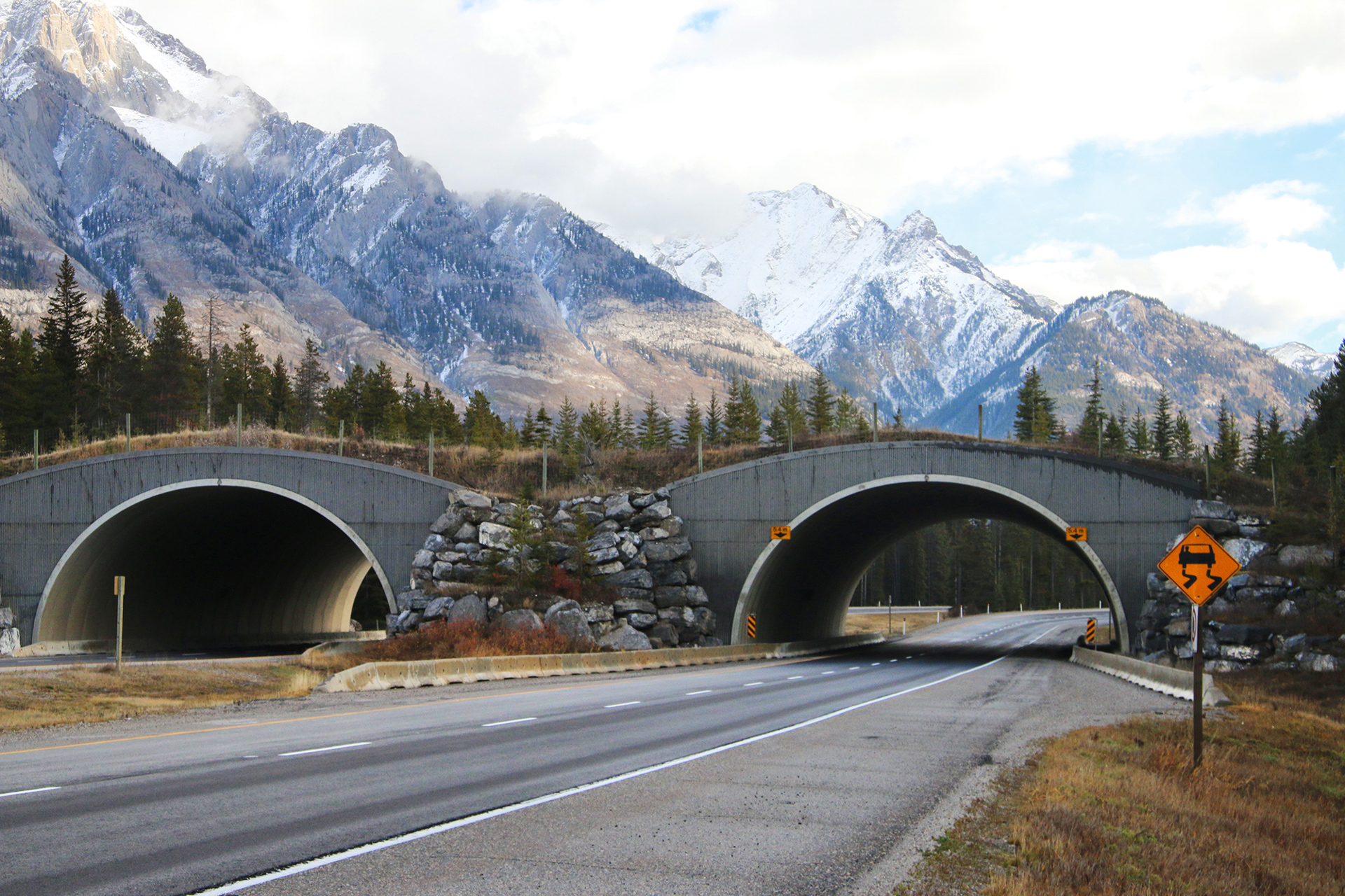 ÐÐ¾ÑÑ Ð´Ð»Ñ Ð´Ð¸ÐºÐ¸Ñ Ð¶Ð¸Ð²Ð¾ÑÐ½ÑÑ Ð² Ð­Ð´Ð¼Ð¾Ð½ÑÐ¾Ð½Ðµ, ÐÐ°Ð½Ð°Ð´Ð°.Â&nbsp;Ð¤Ð¾ÑÐ¾: canadiangeographic.ca