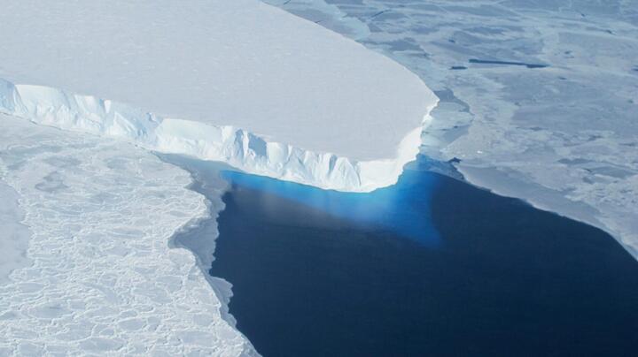 ÐÐµÐ´Ð½Ð¸Ðº Ð¢ÑÑÐ¹ÑÑÐ° Ð² 2014 Ð³Ð¾Ð´Ñ. Ð¤Ð¾ÑÐ¾ - Reuters