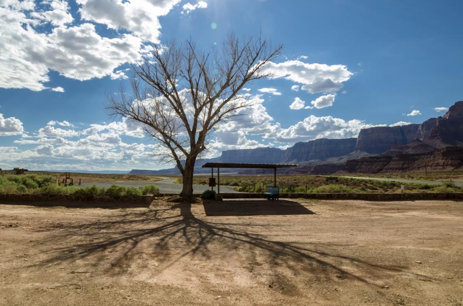 Ð¤Ð¾ÑÐ¾: iStock.com