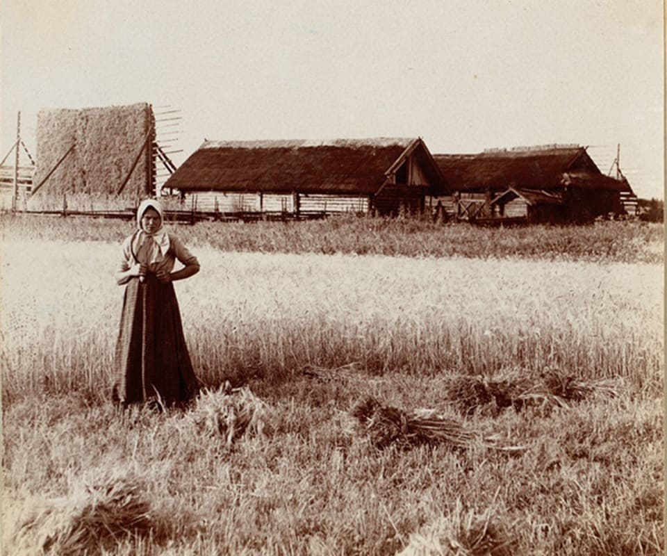 ÐÑÑÐºÐ° ÐÑÑÑÐ°, ÐÑÐ½ÑÐºÐ°Ñ Ð³ÑÐ±ÐµÑÐ½Ñ, Ð¿Ð°ÑÐ°ÑÐ°Ðº Ð¥Ð¥ ÑÑÐ°Ð³Ð¾Ð´Ð´Ð·Ñ. Ð¤Ð¾ÑÐ° â Ð¡ÑÑÐ³ÐµÐ¹ ÐÑÐ°ÐºÑÐ´Ð·ÑÐ½-ÐÐ¾ÑÑÐºÑ