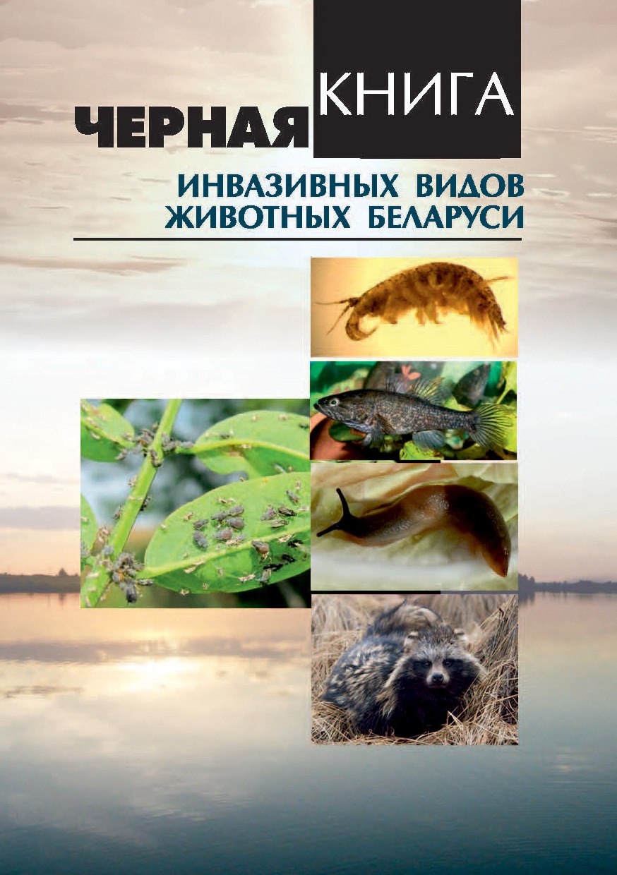 Ð§ÑÑÐ½Ð°Ñ ÐºÐ½Ð¸Ð³Ð°