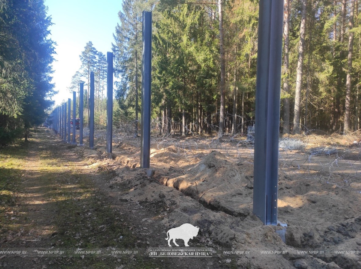 ÐÑÐ¾Ð²Ð¾Ð»Ð¾ÐºÐ° ÐÐ¾Ð½ÑÐµÑÑÐ¸Ð½Ð° Ð½Ð° Ð±ÐµÐ»Ð°ÑÑÑÑÐºÐ¾-Ð¿Ð¾Ð»ÑÑÐºÐ¾Ð¹ Ð³ÑÐ°Ð½Ð¸ÑÐµÂ&nbsp;