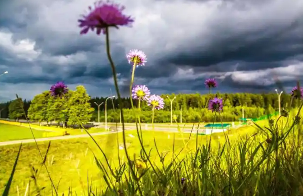 ÐÐ»ÑÑÑÑÐ°ÑÑÑÐ½Ð°Ðµ ÑÐ¾ÑÐ°