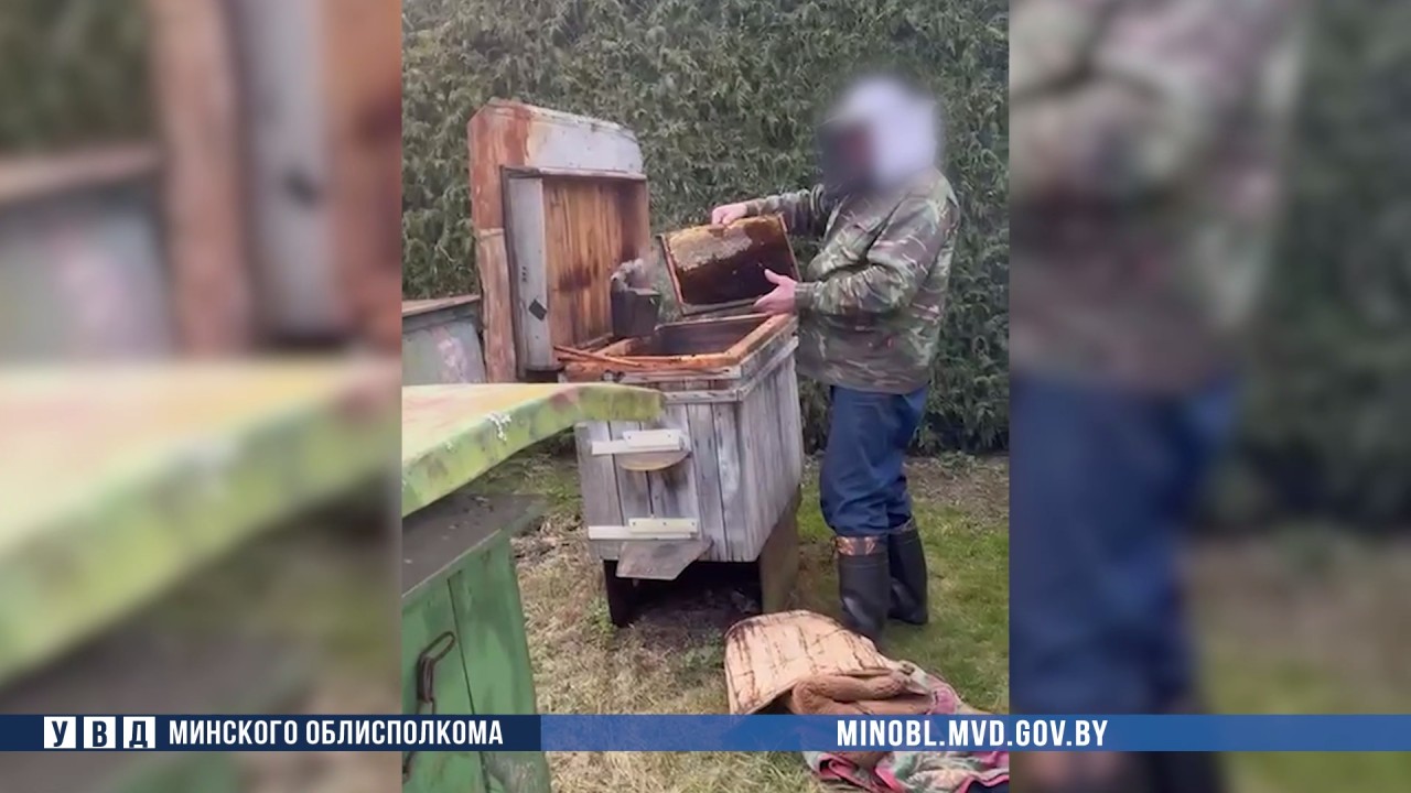 Ð¡ÐºÑÐ¸Ð½ÑÐ¾Ñ Ð²Ð¸Ð´ÐµÐ¾