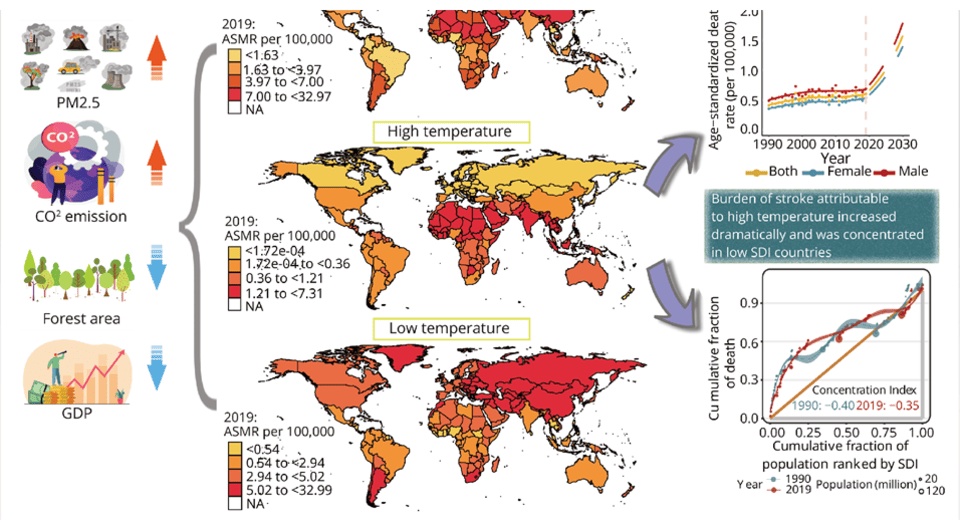 ÐÐ½ÑÐ¾Ð³ÑÐ°ÑÐ¸ÐºÐ° - Chunrun Qu et al. / Neurology, 2024