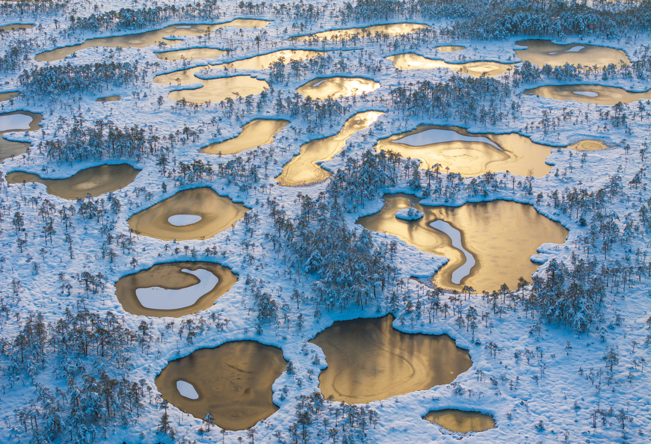 Â«ÐÐ¾Ð»Ð¾ÑÐ¾Ðµ ÑÐ¾ÐºÑÐ¾Ð²Ð¸ÑÐµÂ»   1/9  Sven ZaÄek / German Society for Nature Photography