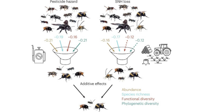 ÐÐ½ÑÐ¾Ð³ÑÐ°ÑÐ¸ÐºÐ° - Anina Knauer et al. / Nature Ecology & Evolution, 2025