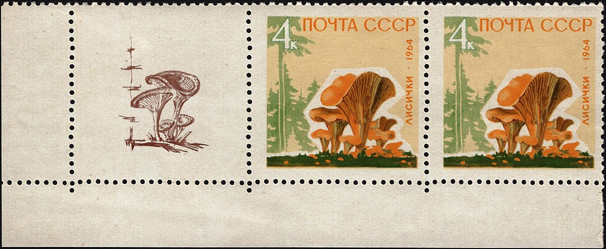 ÐÐ°ÑÐºÐ° Ñ Ð»Ð¸ÑÐ¸ÑÐºÐ¾Ð¹, Ð¡Ð¡Ð¡Ð&nbsp;, 1964 Ð³Ð¾Ð´. Ð¤Ð¾ÑÐ¾ â Matsievsky, ÐÐ¸ÐºÐ¸Ð¿ÐµÐ´Ð¸Ñ