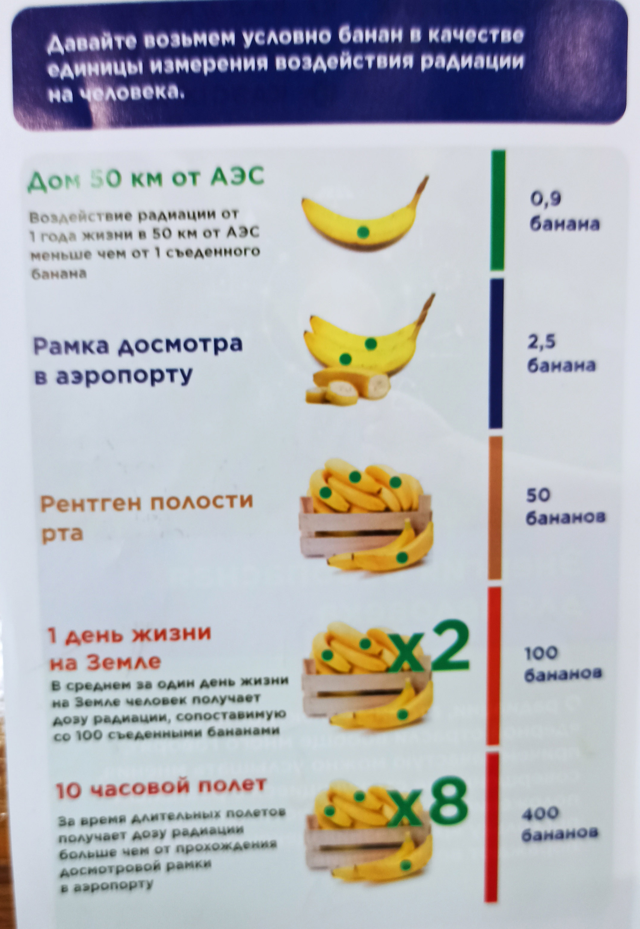 Ð¤Ð¾ÑÐ¾ â Ð¸Ð· Ð°ÑÑÐ¸Ð²Ð° Ð¡Ð²ÐµÑÐ»Ð°Ð½Ñ