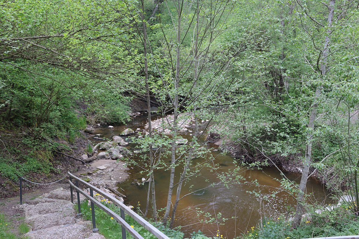 Ð¤Ð¾ÑÐ¾ - ÐÐ»ÐµÐ½Ð° ÐÐ°ÑÑÐ¾Ð¼ÐµÐ²Ð°