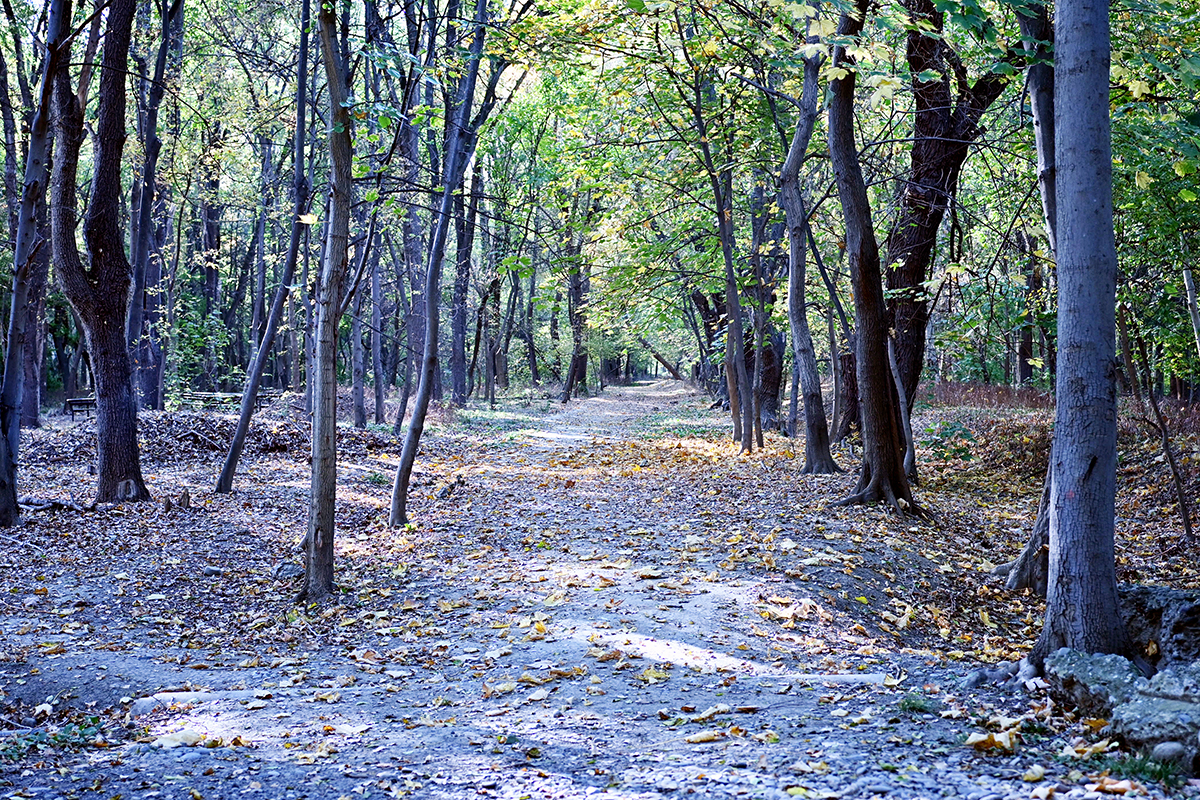 Ð¤Ð¾ÑÐ¾ - Ð°Ð²ÑÐ¾ÑÐ°