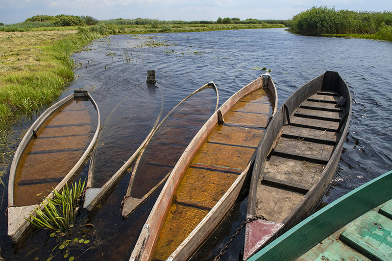 ÐÐ¾Ð»ÐµÑÑÐºÐ¸Ðµ Ð»Ð¾Ð´ÐºÐ¸. Ð¤Ð¾ÑÐ¾ ÐÐ°Ð½Ð¸ÑÐ»Ñ Ð&nbsp;Ð¾Ð·ÐµÐ½Ð³ÑÐµÐ½Ð°, Ð¤ÐÐ¢