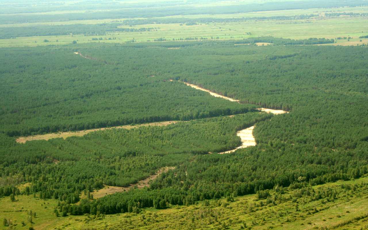 Ð¤Ð¾ÑÐ¾ ÐÐÐ&nbsp;Ð­Ð