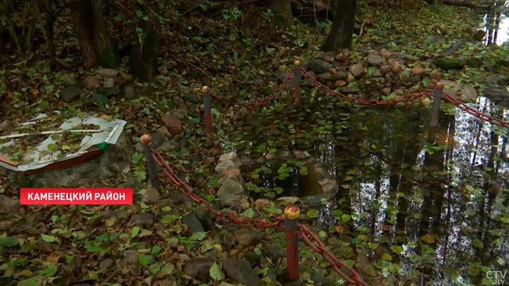 Ð&nbsp;Ð¾Ð´Ð½Ð¸Ðº Ð¡ÐµÑÐµÐ±ÑÑÐ½ÑÐ¹ Ð² Ð°Ð³ÑÐ¾Ð³Ð¾ÑÐ¾Ð´ÐºÐµ ÐÐ³Ð¾ÑÐ¾Ð´Ð½Ð¸ÐºÐ¸ ÐÐ°Ð¼ÐµÐ½ÐµÑÐºÐ¾Ð³Ð¾ ÑÐ°Ð¹Ð¾Ð½Ð°. Ð¡ÐºÑÐ¸Ð½ÑÐ¾Ñ Ð²Ð¸Ð´ÐµÐ¾ Ð¡Ð¢Ð