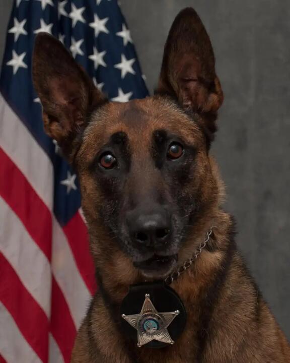 Ð¤Ð¾ÑÐ¾ - Rockford Police Department