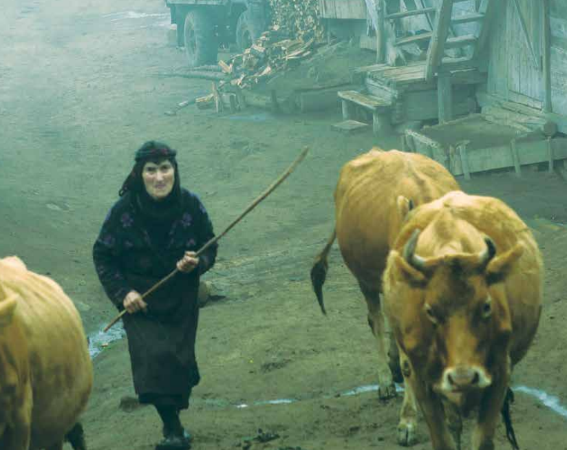 ÐÐ»Ð»ÑÑÑÑÐ°ÑÐ¸Ñ Ð¸Ð· Ð¸ÑÑÐ»ÐµÐ´Ð¾Ð²Ð°Ð½Ð¸Ñ
