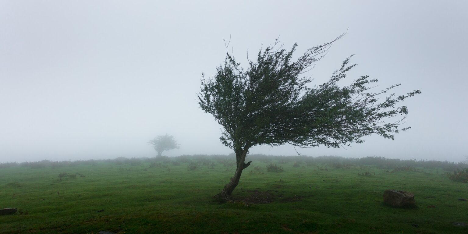 Ð¤Ð¾ÑÐ° - KhamkÃ©o Vilaysing / Unsplash