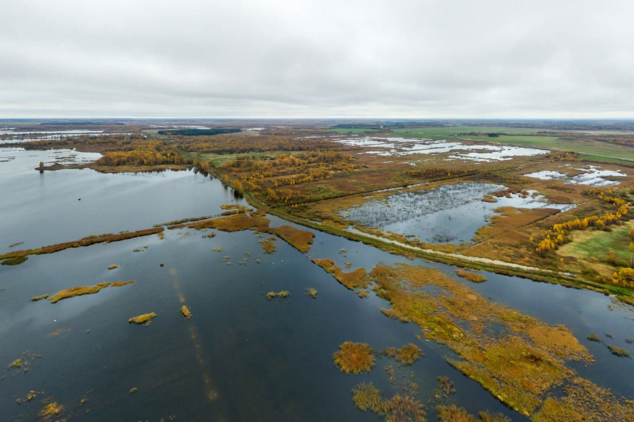 ÐÐ±Ð²Ð¾Ð´Ð½ÑÐ½Ð½ÑÐ¹ ÑÐ¾ÑÑÑÐ½Ð¸Ðº Ð½Ð° Ð±Ð¾Ð»Ð¾ÑÐµ Â«ÐÐ¾ÐºÑÐ´Ð¾Ð²ÑÐºÐ¾ÐµÂ» Â© UNDP Belarus