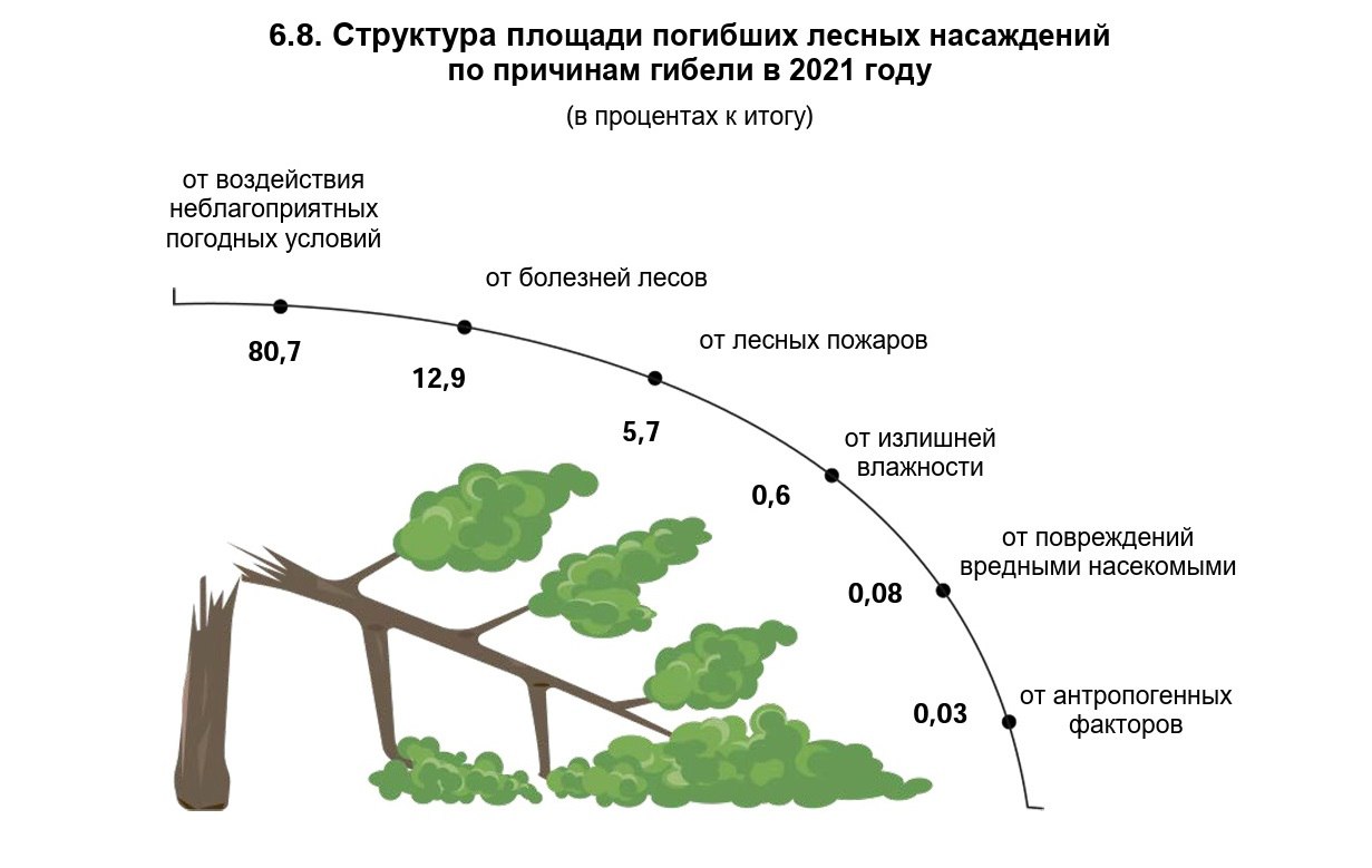 ÐÐ¸Ð±ÐµÐ»Ñ Ð»ÐµÑÐ° Ð¿Ð¾ ÑÐ°Ð·Ð»Ð¸ÑÐ½ÑÐ¼ Ð¿ÑÐ¸ÑÐ¸Ð½Ð°Ð¼. Ð¡ÑÐ°ÑÐ¸ÑÑÐ¸ÑÐµÑÐºÐ¸Ð¹ Ð±ÑÐºÐ»ÐµÑ Â«ÐÑÑÐ°Ð½Ð° Ð¾ÐºÑÑÐ¶Ð°ÑÑÐµÐ¹ ÑÑÐµÐ´Ñ Ð² Ð&nbsp;ÐµÑÐ¿ÑÐ±Ð»Ð¸ÐºÐµ ÐÐµÐ»Ð°ÑÑÑÑ. ÐÐ°ÑÐ¸Ð¾Ð½Ð°Ð»ÑÐ½ÑÐ¹ ÑÑÐ°ÑÐ¸ÑÑÐ¸ÑÐµÑÐºÐ¸Ð¹ ÐºÐ¾Ð¼Ð¸ÑÐµÑ Ð&nbsp;ÐµÑÐ¿ÑÐ±Ð»Ð¸ÐºÐ¸ ÐÐµÐ»Ð°ÑÑÑÑ, ÐÐ¸Ð½ÑÐº, 2022.