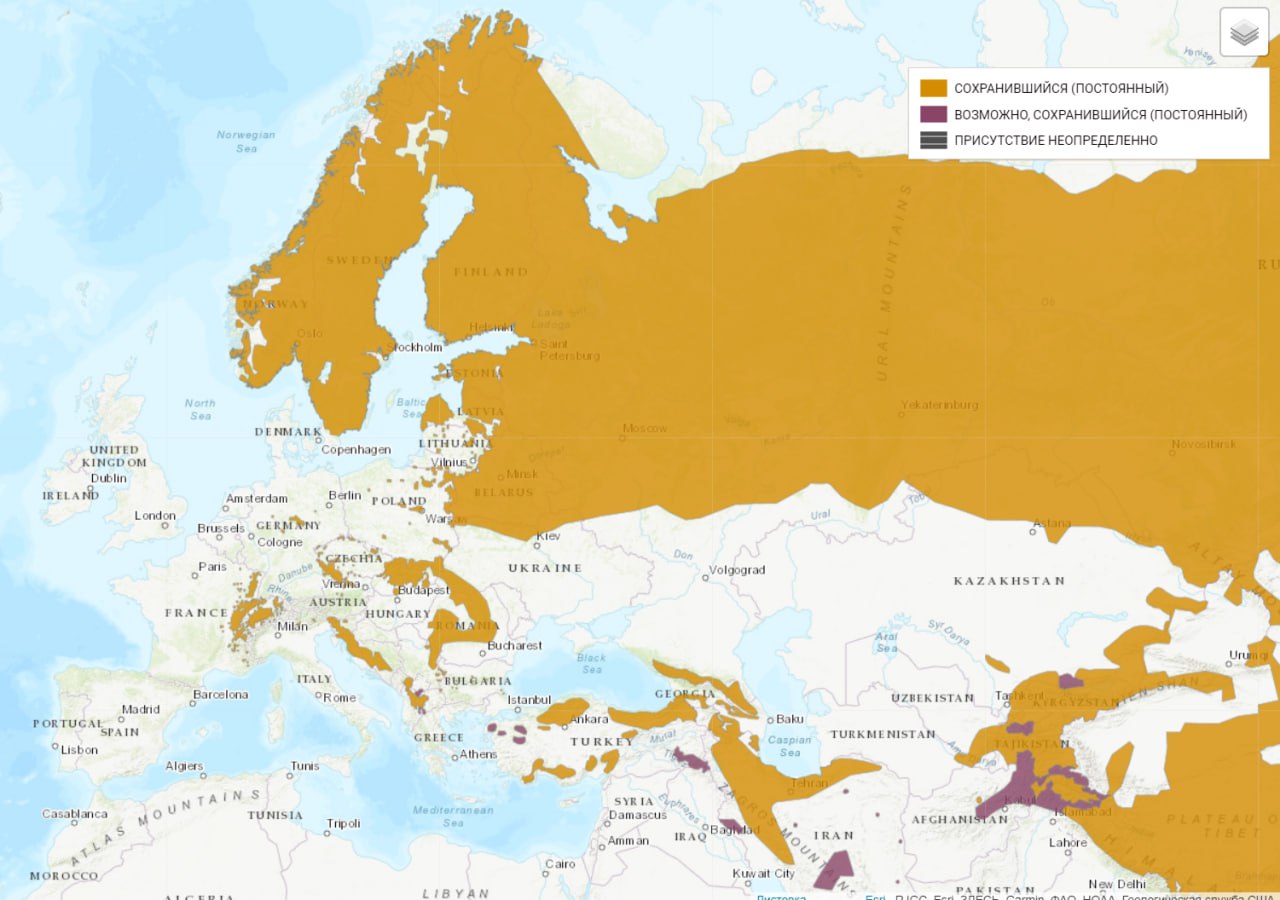 ÐÑÐµÐ°Ð» Ð&nbsp;ÑÑÐ¸ Ð² ÐÐ²ÑÐ°Ð·Ð¸Ð¸