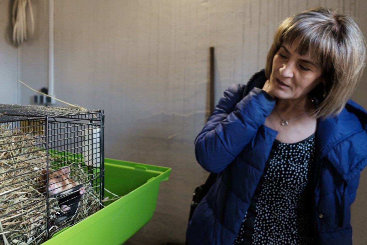 ÐÐ¾Ð·Ð½Ð°Ð½ÑÑÐºÐ°Ñ ÐµÐ²ÑÐ¾Ð¿ÐµÐ¹ÑÐºÐ°Ñ ÑÐµÑÐ¼Ð° Ð¿Ð¾ ÑÐ°Ð·Ð²ÐµÐ´ÐµÐ½Ð¸Ñ ÑÐ¾Ð¼ÑÐºÐ¾Ð² Ð² ÐÐ¾Ð·Ð½Ð°Ð½Ð¸ â Ð¾Ð´Ð½Ð° Ð¸Ð· Ð»ÑÑÑÐ¸Ñ Ð² ÐÐ²ÑÐ¾Ð¿Ðµ. Ð¤Ð¾ÑÐ¾: ÐÐ´ÑÐ¸Ð°Ð½ ÐÑÐºÑÐ¾ÑÐ°