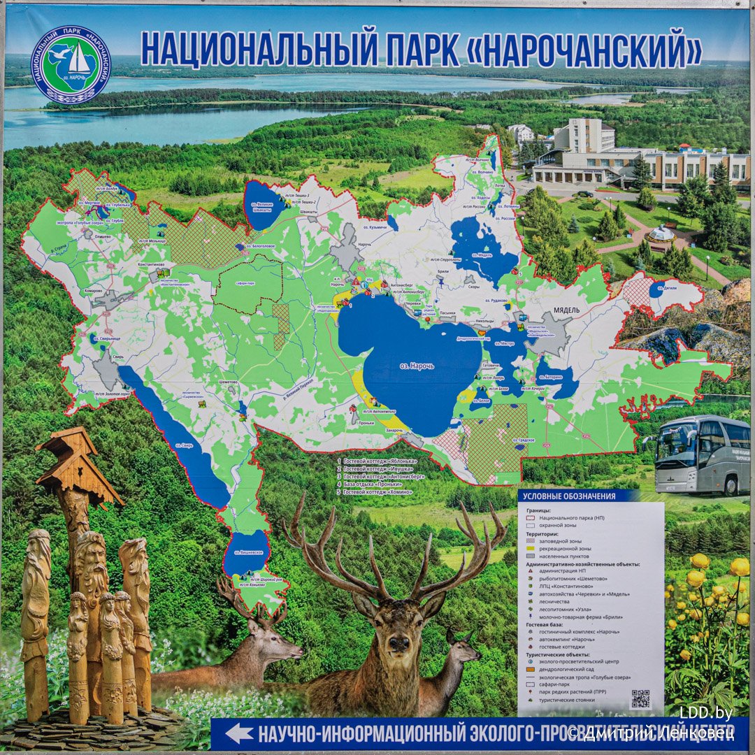 ÐÐ°ÑÑÐ°-ÑÑÐµÐ¼Ð° ÐÐ°ÑÐ¸Ð¾Ð½Ð°Ð»ÑÐ½Ð¾Ð³Ð¾ Ð¿Ð°ÑÐºÐ° Â«ÐÐ°ÑÐ¾ÑÐ°Ð½ÑÐºÐ¸Ð¹Â». Ð&nbsp;ÐµÐºÑÐµÐ°ÑÐ¸Ð¾Ð½Ð½Ð°Ñ Ð·Ð¾Ð½Ð° Ð¾ÑÐ¼ÐµÑÐµÐ½Ð° Ð¶ÑÐ»ÑÑÐ¼ ÑÐ²ÐµÑÐ¾Ð¼.