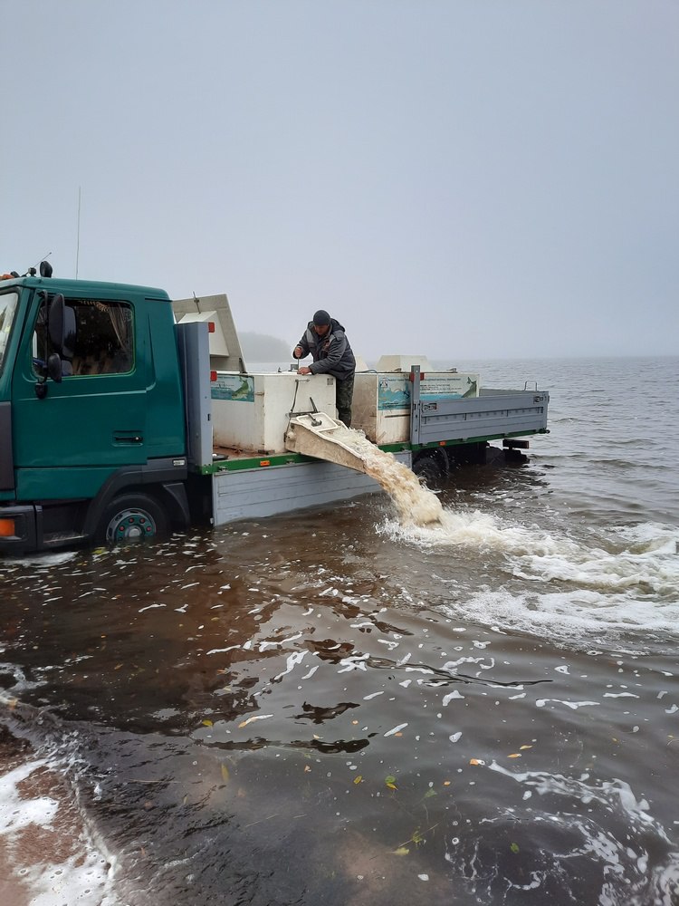Â&nbsp;ÐÐ°ÑÑÐ±Ð»ÐµÐ½Ð¸Ðµ Ð¾Ð·ÐµÑÐ° ÐÐ¾Ð»ÑÑÐ¸Ðµ Ð¨Ð²Ð°ÐºÑÑÑ ÐºÐ°ÑÐ¿Ð¾Ð¼ Ð¸ ÑÑÐºÐ¾Ð¹