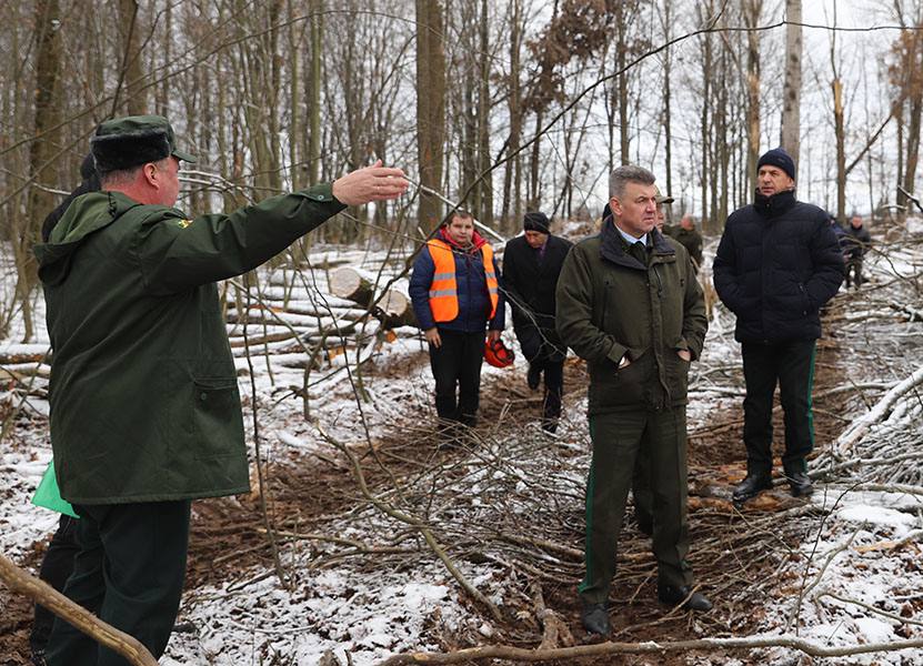 ÐÐ»ÐµÐºÑÐ°Ð½Ð´Ñ ÐÑÐ»Ð¸Ðº Ð² ÐÑÐ´Ð°-ÐÐ¾ÑÐµÐ»ÑÐ²ÑÐºÐ¾Ð¼ Ð»ÐµÑÑÐ¾Ð·Ðµ Ð²Ð¾ Ð²ÑÐµÐ¼Ñ Ð¿ÑÐ¾Ð²ÐµÐ´ÐµÐ½Ð¸Ñ ÑÑÐ°Ð±Ð° Ð¿Ð¾ ÑÐ°Ð·ÑÐ°Ð±Ð¾ÑÐºÐµ Ð²ÐµÑÑÐ¾Ð²Ð°Ð»ÑÐ½ÑÑ Ð»ÐµÑÐ¾ÑÐµÐº. Ð¤Ð¾ÑÐ¾ - Ð¢ÐµÐ»ÐµÐ³ÑÐ°Ð¼Ð¼-ÐºÐ°Ð½Ð°Ð» "ÐÐ¾Ð¼ÐµÐ»ÑÑÐ¸Ð½Ð° Ð¾ÑÐ¸ÑÐ¸Ð°Ð»ÑÐ½Ð¾"