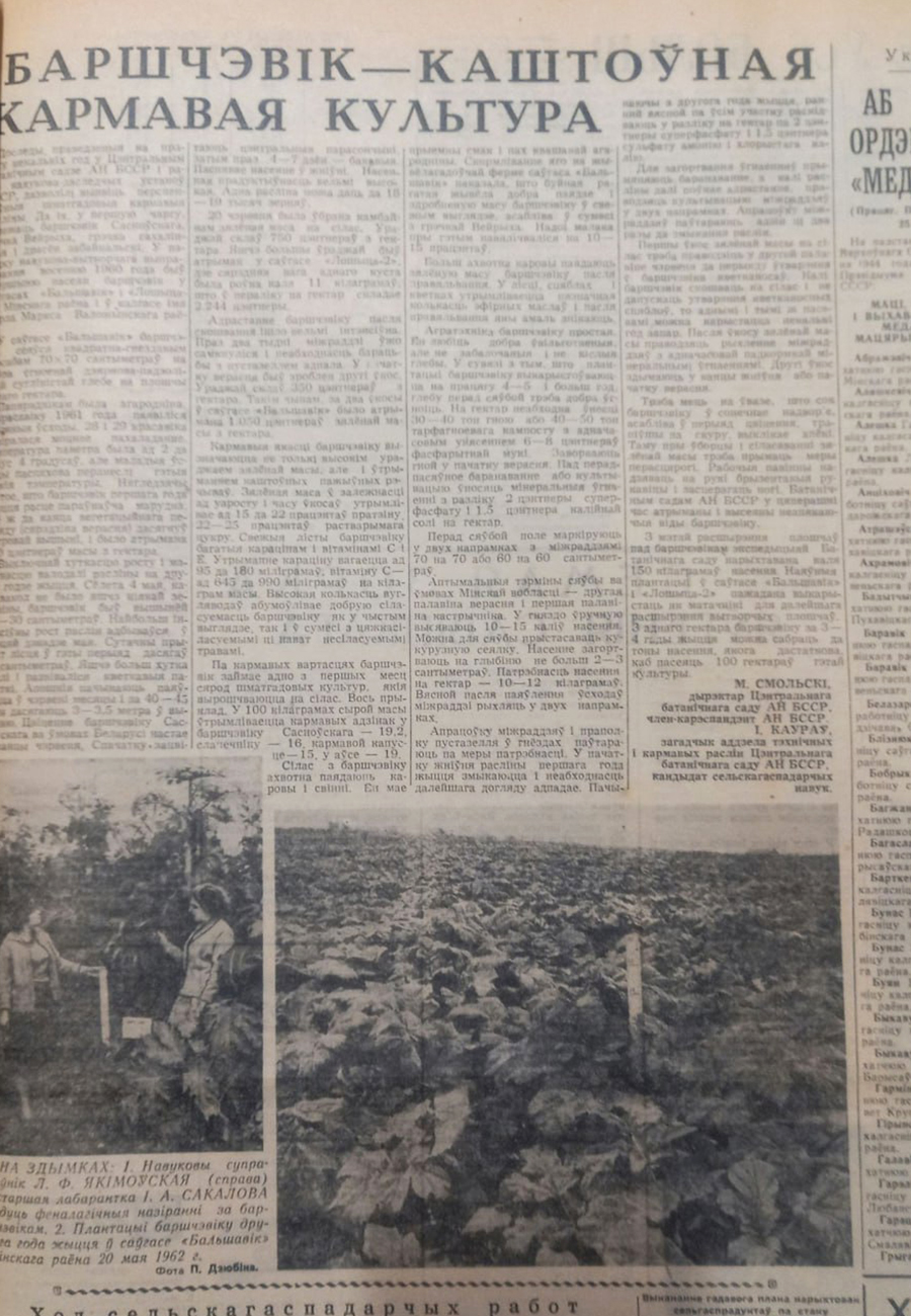 ÐÐ°Ð·ÐµÑÐ° "ÐÑÐ½ÑÐºÐ°Ñ Ð¿ÑÐ°ÑÐ´Ð°" Ð² 1962 Ð³Ð¾Ð´Ñ "Ð¿ÑÐ¾Ð´Ð²Ð¸Ð³Ð°ÐµÑ" Ð±Ð¾ÑÑÐµÐ²Ð¸Ðº Ð¡Ð¾ÑÐ½Ð¾Ð²ÑÐºÐ¾Ð³Ð¾