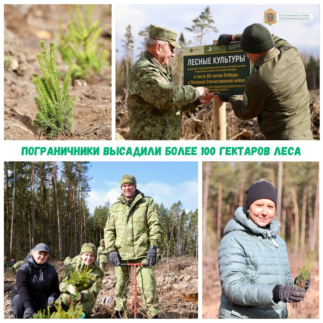 Ð¤Ð¾ÑÐ¾ - Ð¸Ð· ÑÐ¾ÑÑÐµÑÐµÐ¹ ÐÐ¸Ð½Ð»ÐµÑÑÐ¾Ð·Ð°