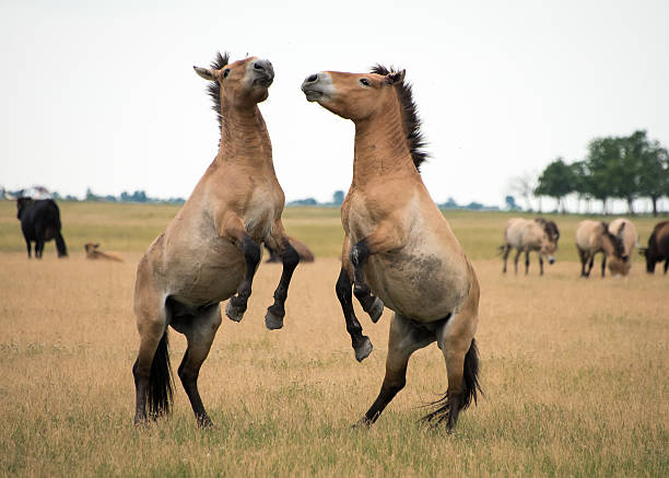 Ð¤Ð¾ÑÐ¾: istockphoto.com