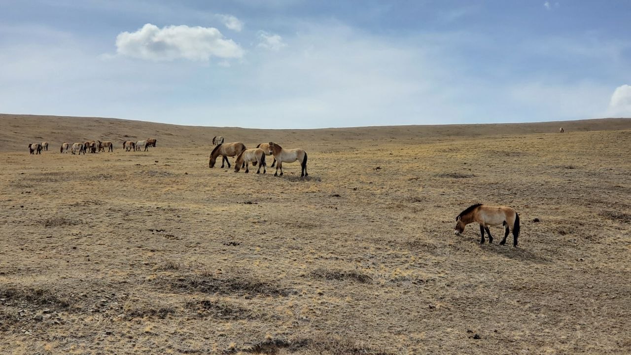 Ð¤Ð¾ÑÐ¾ - Ð¢Ð°ÑÑÑÐ½Ð° ÐÐµÐ½Ð´ÐµÐ»Ñ