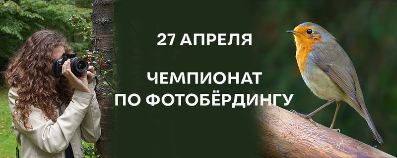 ÐÐ»Ð»ÑÑÑÑÐ°ÑÐ¸Ð²Ð½Ð¾Ðµ Ð¸Ð·Ð¾Ð±ÑÐ°Ð¶ÐµÐ½Ð¸Ðµ