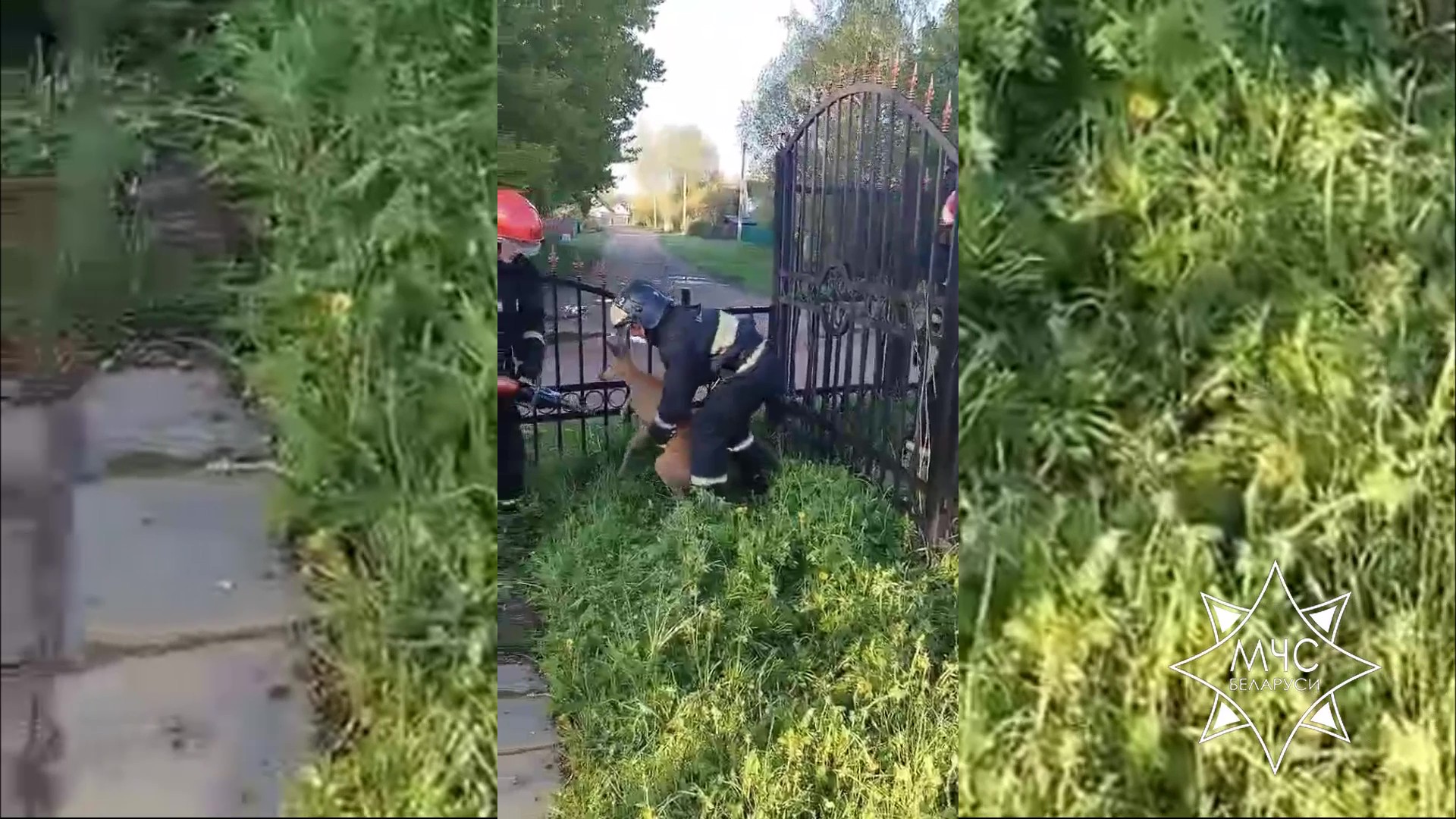 Ð¤Ð¾ÑÐ¾ - ÑÐºÑÐ¸Ð½ÑÐ¾Ñ Ð²Ð¸Ð´ÐµÐ¾ ÐÐ§Ð¡