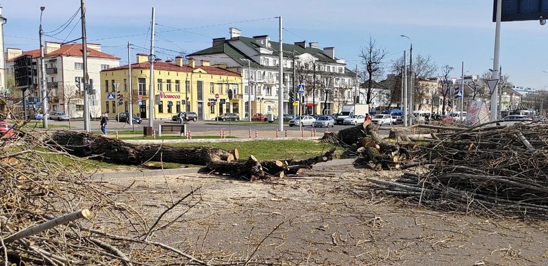 Ð ÐÑÐµÑÑÐµ Ð²Ð¾Ð·Ð»Ðµ Ð¦Ð£ÐÐ° ÑÐ¿Ð¸Ð»Ð¸Ð»Ð¸ Ð´ÐµÑÐµÐ²ÑÑ. Ð¤Ð¾ÑÐ¾ Ð¸Ð· ÑÐ¾ÑÑÐµÑÐµÐ¹