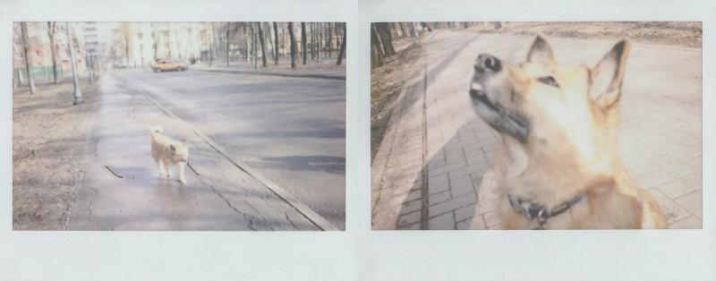 Ð¤Ð¾ÑÐ¾: ÐÐ½Ð½Ð° ÐÐ²Ð°Ð½ÑÐ¾Ð²Ð° Ð´Ð»Ñ Ð¢Ð