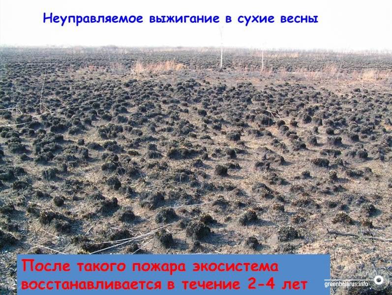 ÐÐ· Ð¿ÑÐµÐ·ÐµÐ½ÑÐ°ÑÐ¸Ð¸ ÐÐ¸ÑÐ°Ð¸Ð»Ð° ÐÐ°ÐºÑÐ¸Ð¼ÐµÐ½ÐºÐ¾Ð²Ð°