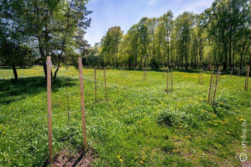 ÐÐ°ÑÐº ÐÑÑÐ¶Ð±Ñ Ð½Ð°ÑÐ¾Ð´Ð¾Ð². Ð¤Ð¾ÑÐ¾ â citydog.by
