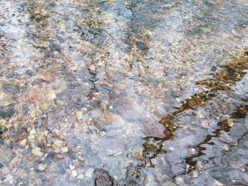 Ð§Ð¸ÑÑÐ¾Ðµ Ð´Ð½Ð¾ Ñ ÐºÑÑÐ¿Ð½Ð¾Ð¹ Ð³Ð°Ð»ÑÐºÐ¾Ð¹ - Ð·Ð´ÐµÑÑ Ð¼Ð¾Ð¶ÐµÑ Ð½ÐµÑÐµÑÑÐ¸ÑÑÑÑ ÑÑÑÑÐµÐ²Ð°Ñ ÑÐ¾ÑÐµÐ»Ñ