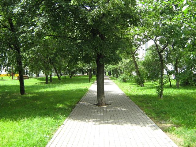 Ð¢Ð°Ðº Ð±ÐµÑÐµÐ³ÑÑ Ð´ÐµÑÐµÐ²ÑÑ Ð² ÐÐµÐ»Ð°ÑÑÑÐ¸. Ð¤Ð¾ÑÐ¾ ÑÐ´ÐµÐ»Ð°Ð½Ð¾ Ð² 2007 Ð³Ð¾Ð´Ñ Ð² ÐÐ¸Ð½ÑÐºÐµ, Ð²Ð¾Ð·Ð»Ðµ Ð´Ð¾Ð¼Ð° 133 Ð¿Ð¾ Ð¿ÑÐ¾ÑÐ¿ÐµÐºÑÑ ÐÐµÐ·Ð°Ð²Ð¸ÑÐ¸Ð¼Ð¾ÑÑÐ¸. Ð¤Ð¾ÑÐ¾ â Liz, forum.esmasoft.com