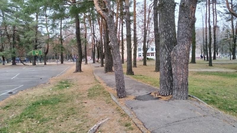 ÐÐ´Ð¸Ð½ Ð¸Ð· ÑÑÐ°ÑÑÑ ÑÐ°Ð¹Ð¾Ð½Ð¾Ð² Ð¡Ð²ÐµÑÐ»Ð¾Ð³Ð¾ÑÑÐºÐ°, Ð³Ð´Ðµ ÑÑÑÐ¾Ð¸ÑÐµÐ»Ð¸ ÑÐµÑÐ¸Ð»Ð¸ Ð´Ð¸Ð»ÐµÐ¼Ð¼Ñ Ð¸Ð½Ð°ÑÐµ.