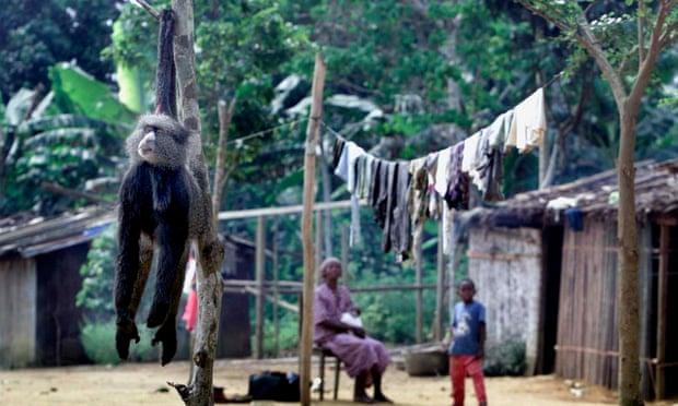 Photograph: Christine Nesbitt/AP