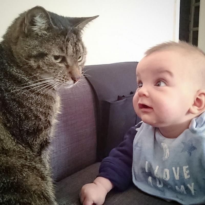 Ð¤Ð¾ÑÐ¾ Ð¸Ð· Facebook ÐÐ»ÑÐ³Ð¸ Ð§ÐµÑÐ½ÑÑ