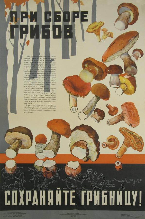 1965 Ð³Ð¾Ð´, Ð°ÑÑÐ°Ñ - Ð¨ÑÐ»ÐµÐ³  Ð.Ð.