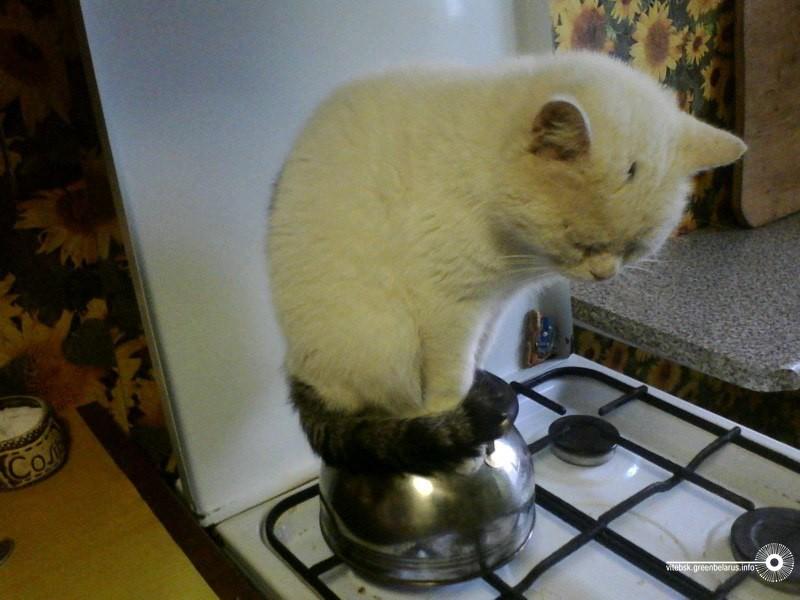 ÐÐ¸Ð¶Ð¾Ð½