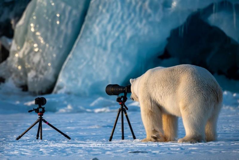 ÐÐ¸ÐºÐ¸Ð¹ ÑÐ¾ÑÐ¾Ð³ÑÐ°Ñ (Ð°Ð²ÑÐ¾Ñ - Roie Galitz)