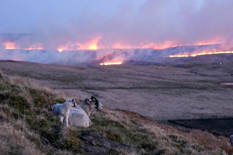  Ð¤Ð¾ÑÐ¾ - Oli Scarff/AFP/Getty Images