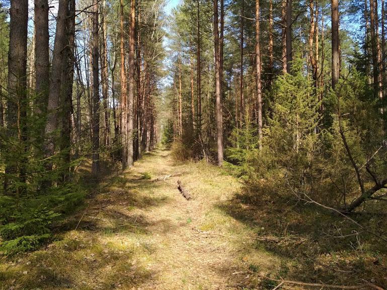 ÐÐ°ÑÑÐ¿Ñ ÑÐ·ÐºÐ¾ÐºÐ¾Ð»ÐµÐ¹ÐºÐ¸ Ð² ÑÐ°Ð¹Ð¾Ð½Ðµ ÐÐ°ÑÐ¾ÑÐ¸